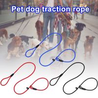 S / M / L Dog Training Belt Sliding Pet Dog Nylon Rope Lead Belt Adjustable Traction Collar