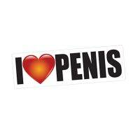 Waterproof I LOVE PENIS PRANK Joke Beautiful Gay Fun Car Sticker Vinyl PVC Cover Scratches Bumper  KK Vinyl 13cm X 4cm Bumper Stickers Decals  Magnets