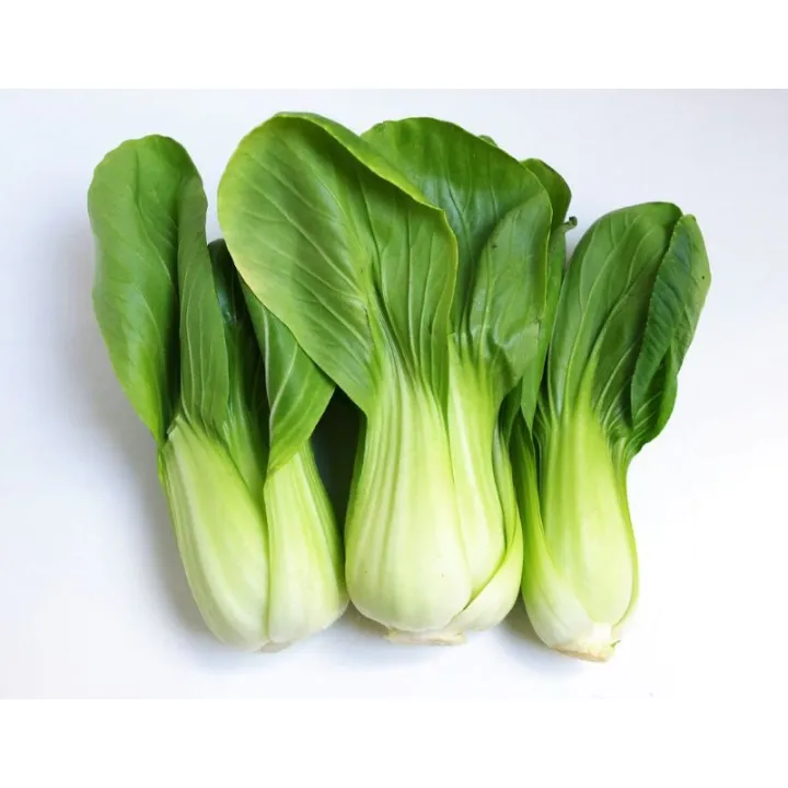 Packchoi/backchoy Vegetable Seeds Organic Home Garden plants Seed ...