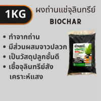 BIOCHAR SOIL BOOSTER / Natural soil improvement 1Kg.ไบโอชาร์ ถ่านแช่จุลินทรีย์ที่มีส่วนผสมของเชื้อจาวปลวกและเชื้อจุลินทรย์สังเคราะห์แสง