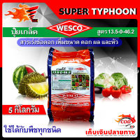 บรรจุ 5 กิโลกรัม WESCO ปุ๋ย 13.5-0-46.2 โพแทสเซียมไนเตรท จี-ฟาสต์ ปุ๋ยเกล็ด เวสโก้ สารเร่งช่อดอก เพิ่มขนาด ดอก ผล และหัว