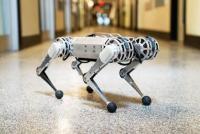 หุ่นยนต์สุนัข 4 ขา Quadruped Robot หุ่นยนต์ Robodog (ติดต่อสอบถามสินค้าก่อนสั่งซื้อนะคะ)