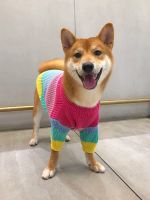 Puppy Rainbow Sweater Knitted Pet Cat Sweater Warm Dog Sweatshirt Dog Winter Clothing Kitten Puppy Sweater