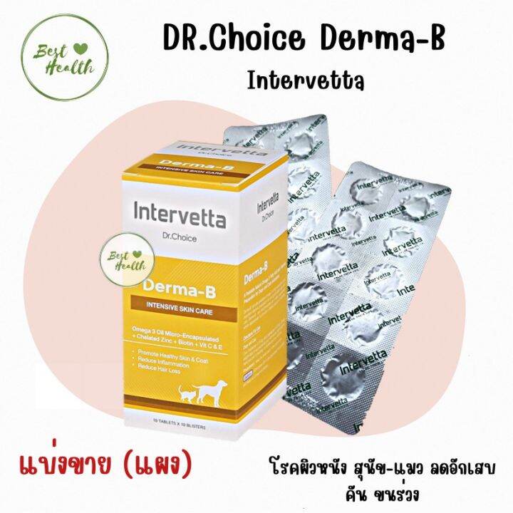 (หมดอายุ 03/23) Dr.Choice Derma-B Intervetta โรคผิวหนัง สุนัข-แมว ลด ...