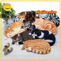 พรมเช็ดเท้ากำมะหยี่ รูปแมว ขนาด 40x74 cm
