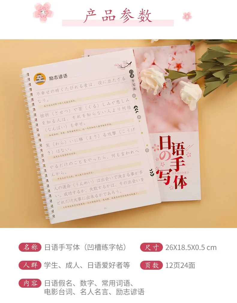 22 New 3d Reusable Writing Calligraphy Groove Copybook For Learn Japanese Magic Book Adults Art Writing Books Japanese Libros Lazada Ph