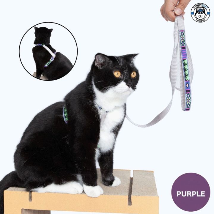 kafbo-สายรัดอกและสายจูงสำหรับแมว-สายจูงแมว-สายรัดอกแมว-cat-harness-leash-สายจูงสัตว์เลี้ยง-ปลอกคอและสายจูง