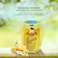 Langnese Acacia Honey with Natural Honeycomb 500g. น้ำผึ้ง และรวงผึ้ง คุณภาพดีจากเยอรมัน