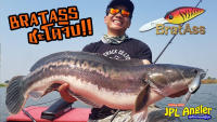 Mahseer BratAss แบลทแอส ชะโด ปลั๊กดำลึก ปลั๊กชะโด ตีจิบ