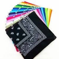 【CC】✈☒♀  2022 Fashion Hip Hop Cotton Bandana Scarf 54cmx54cm Headband Printed Women/Men/Boys/Girls