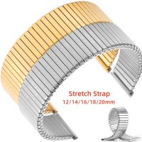 Metal Elastic Watch Strap 12mm 14mm 16mm 18mm 20mm Stretch Expansion Stainless Steel Watch Band Men Women Wristband Accessories