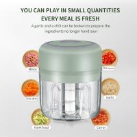 250ML Mini USB Electric Meat Grinder Garlic Chopper Rechargeable Crusher Food Processor