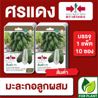 ผักซอง ศรแดง เมล็ดพันธุ์ พันธุ์ผัก มะละกอส้มตำ F1 บรรจุแพ็คล่ะ 10 ซอง ราคา 230 บาท