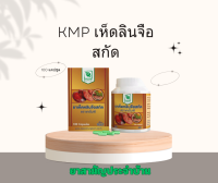 เห็ดหลินจือสกัด ตราKMP 100 CAPSULE เห็ดหลืนจือสกัด ตรา KMP