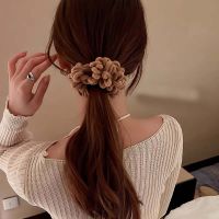 WILLIEAN อารมณ์ หวาน น่ารัก สีทึบ การ์ตูนหมี เรียบง่าย Scrunchies กำมะหยี่นุ่ม ๆ ยางรัดผม ที่คาดผมผู้หญิง เชือกผูกผมสไตล์เกาหลี