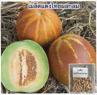 เมล็ดเเตงไทยผลกลม 50 เมล็ด [10  เเถม 1 คละได้]