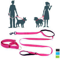 Dog Martingale Collar &amp; Leash Suit. No Pull Training&amp;Daily Walk. Double Handles Premium Quality Lead. Size Medium to X-Large