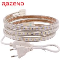 120leds/m SMD 3014 2835 Led Strip Light 220V 5050 60led 1m 5m 10m 15m 20m 25m 50m 100m Power plug waterproof Led Lights Lighting