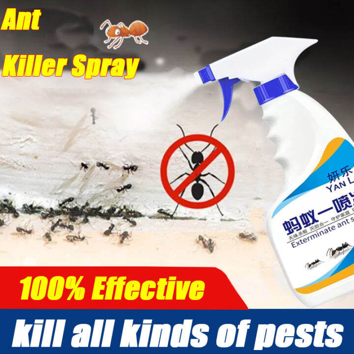 Ant killer ants spray killer, 100% effective ant bait, kills all kinds ...