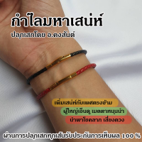 สร้อยเสริมดวง เสริมเสน่ห์ เมตตามหานิยม [ ของแท้จาก อ.คงสันต์ ] รับประกันการเห็นผล จูงนาง จูงผู้ เหมือนดังชื่อให้คนรักคนหลง