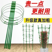 [COD] Multi-layer retractable climbing vine shelf flower bracket indoor plant support rod green dill clematis rose