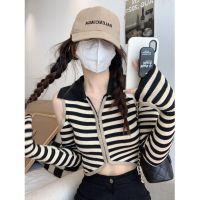 ❣❃☞ Pure lust style POLO collar off-shoulder long-sleeved striped sweater for hot girls early autumn new slim fit short temperament top