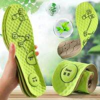 【CW】 Foot Acupressure Insole Men Soft Breathable Cushion Inserts Sweat absorbing Deodorant Shoe Accessories