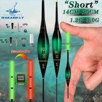 New Short Electronic Fishing Float With Luminous LED Gravity Sensing Color Change And Eye-catching Cloudy Sky Tail Fishing Float Accessories