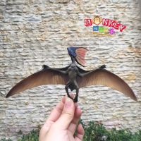 Monkey Toys - โมเดล ไดโนเสาร์ Pterosaurus ขนาด 23.00 CM (จากหาดใหญ่)