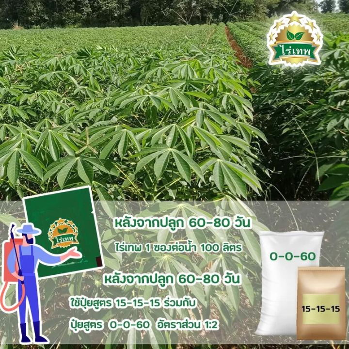 sv289-ไร่เทพ-อาหารเสริมพืช-ขนาด-1-ซอง-ธาตุอาหารสำหรับพืช-ปุ๋ยฮอร์โมน-กรดอะมิโนสูง-สำหรับพืชไร่พืชสวน-พืชโตไว-1ซองใช้ได้-3-5-ไร