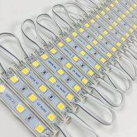 100pcs/lot Super Bright SMD 5054 LED Module Advertisement Design High Quality LED Module Lighting 3 LED DC12V