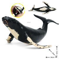 Large Simulation Ocean Animal Soft Glue Whale Models Action Figures Collection Miniature Cognition Educational Toys for children