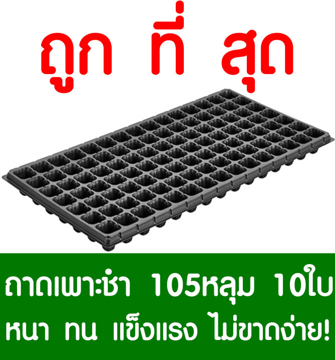 ถาดเพาะกล้า-ถาดเพาะชำ-105หลุม-10แผ่น-ถาดเพาะต้นกล้า-ถาดเพาะกล้า-ถาดเพาะต้นอ่อน-ถาดเพาะเมล็ด-ถาดเพาะข้าว-ถาดเพาะปลูกผัก-ปลูกต้นไม้