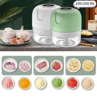 【CC】✥™◐  100/250mL Electric Garlic USB Meat Grinder Masher Press Machine Fruit Vegetable Crusher