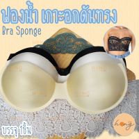 ฟองน้ำเกาะอกแบบต่อเต้า Bra Sponge