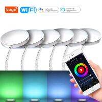 Aluminum Wifi tuya Control RGB LED Under Cabinet Lighting Dimming Kitchen Counter Furniture Lighting Kit For Alexa Google Home Ceiling Lights