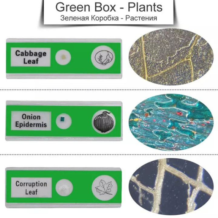 กล้องจุลทรรศน์สไลด์พลาสติก-48-ชิ้น-ตัวอย่างทางชีวภาพ-กล่อง-4-กล่องของเด็กและนักเรียนตรัสรู้การศึกษา