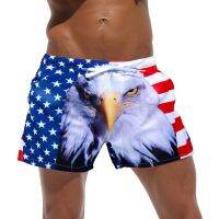 3D AUSTINBEM nd male bathing trunks mens underwear boys boxer shorts beach shorts plus beach