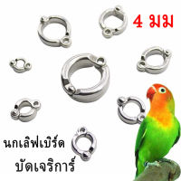 2 ชิ้น แหวนเท้านกแก้ว ห่วงเปิดนก ห่วงใส่ขานก ห่วงนก โลหะ 4 มม (นกเลิฟเบิร์ด บัดเจริการ์)