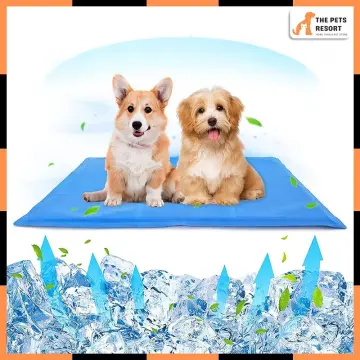 Aspen pet shop cooling mat