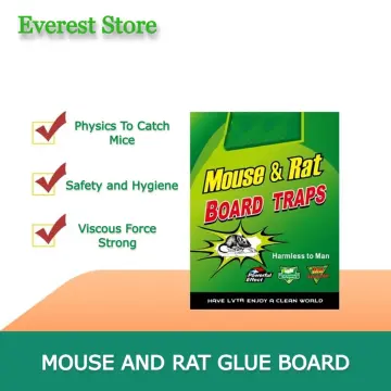 Shop Japan Sticky Large Mouse Trap with great discounts and prices online -  Nov 2023