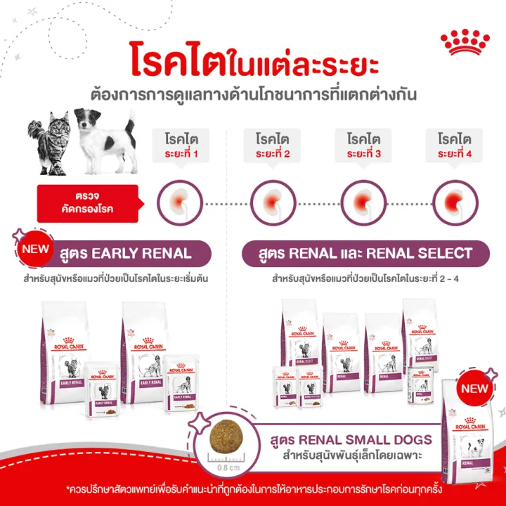 exp5-24-royal-canin-vet-early-renal-dog-2-kg-อาหารสุนัขโรคไต-ระยะเริ่มต้น-หรือมีความเสี่ยงจะเป็นโรคไต