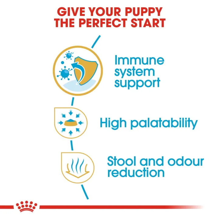 หมดอายุ11-23-royal-canin-chihuahua-puppy-500-g-สำหรับลูกสุนัข-พันธุ์ชิวาวา-อายุไม่เกิน-8-เดือน