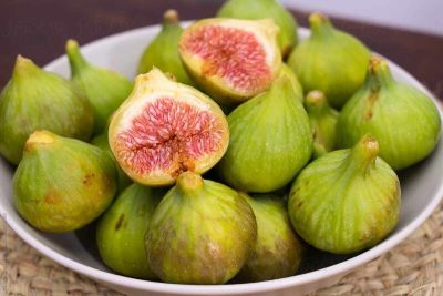 10 เมล็ด เมล็ดมะเดื่อฝรั่ง Figs สายพันธุ์ Inca gold (อินคาโกลด์) ของแท้ 100% มะเดื่อฝรั่ง หรือ ลูกฟิก (Fig) อัตรางอกสูง 70-80% Figs seeds มีคู่มือวิธีปลูก