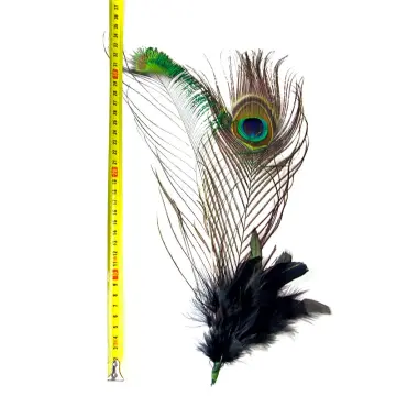 50 pieces of natural big black and white goose feathers 15 cm to