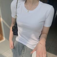 [COD] Thin gray short-sleeved t-shirt womens summer spring and autumn winter new all-match thread knitted round neck top women