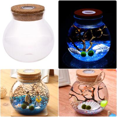 11/12cm Round Glass Jar Globe Terrarium Glass Jar with Colorful LED Light Cork Micro Landscape Ecological Bottle Night Lights Night Lights