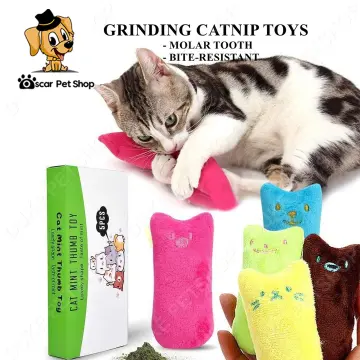 Pets at clearance home catnip toys