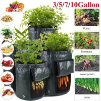 [ELEGANT] Potato Grow Bag PE Vegetable Onion Plant Bag with Handle Thicken Garden Carrot Taro Peanut Growing Bag Durable Seed Garden Tool