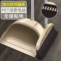 Household Plastic Broom And Dustpan Combination Wet And Dry Dual Use Non Stick Hair Scraper Single Sweep Broom